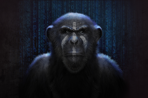 Mr. Dietrich Chimp tutorials